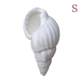 Charm Conque