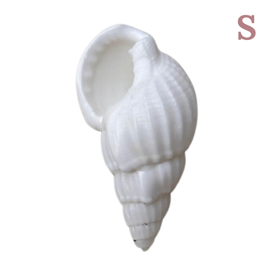 Charm Conque