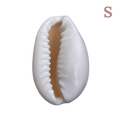 Charm Coquillage naturel