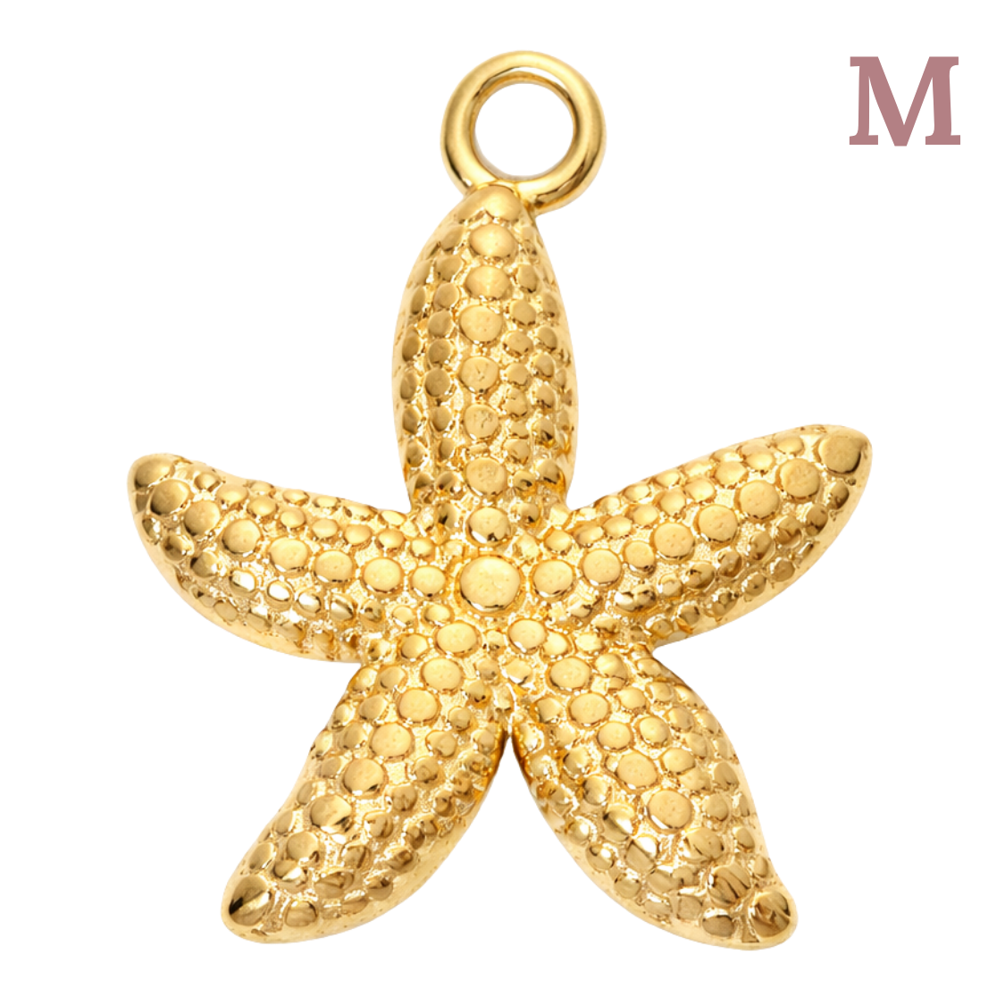 Charms Grande étoile de mer
