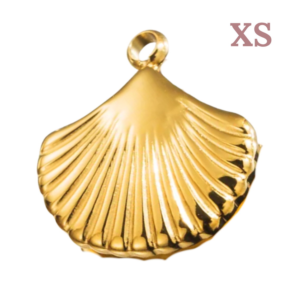 Charm Petit coquillage
