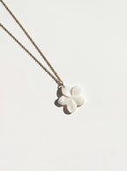 Collar Cleo