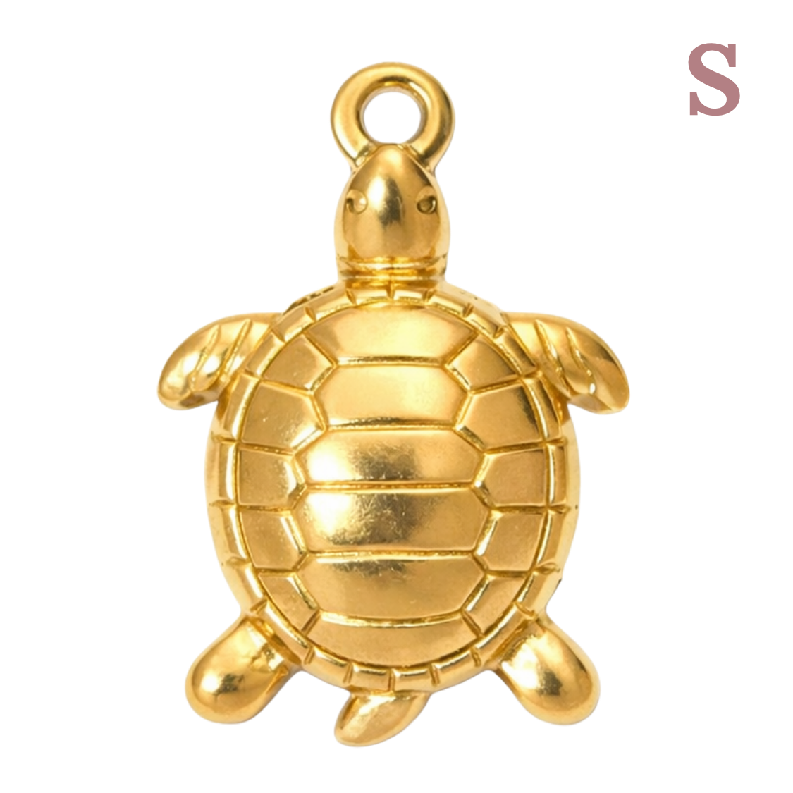 Charm Tortue