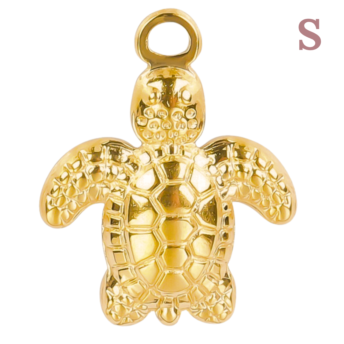 Charms Tortue