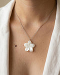 Collar Cleo