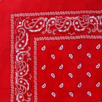 Bandanas